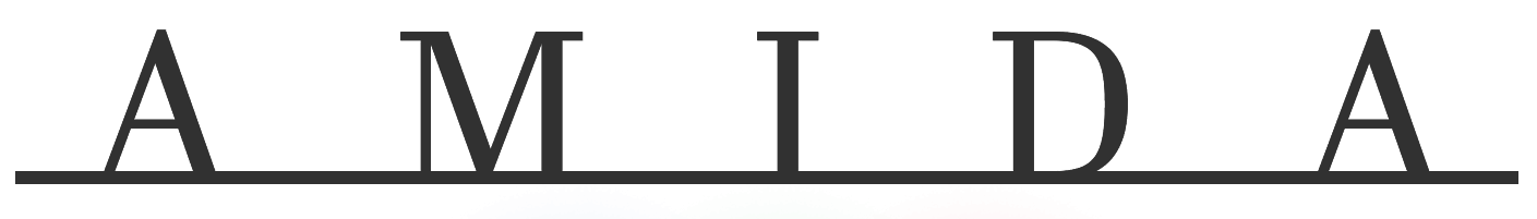 amida-logo-e1668164191700